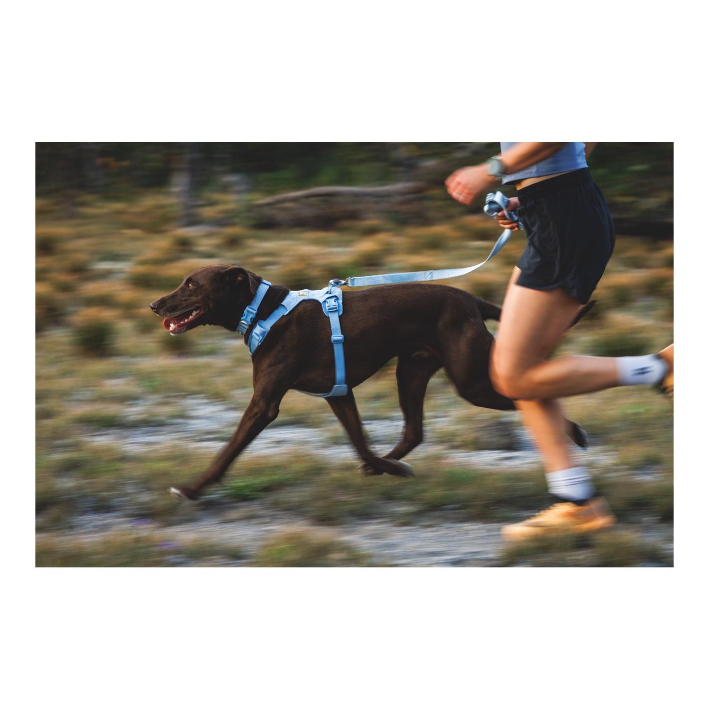 Ruffwear Collier pour chien Front Range™ Flex
