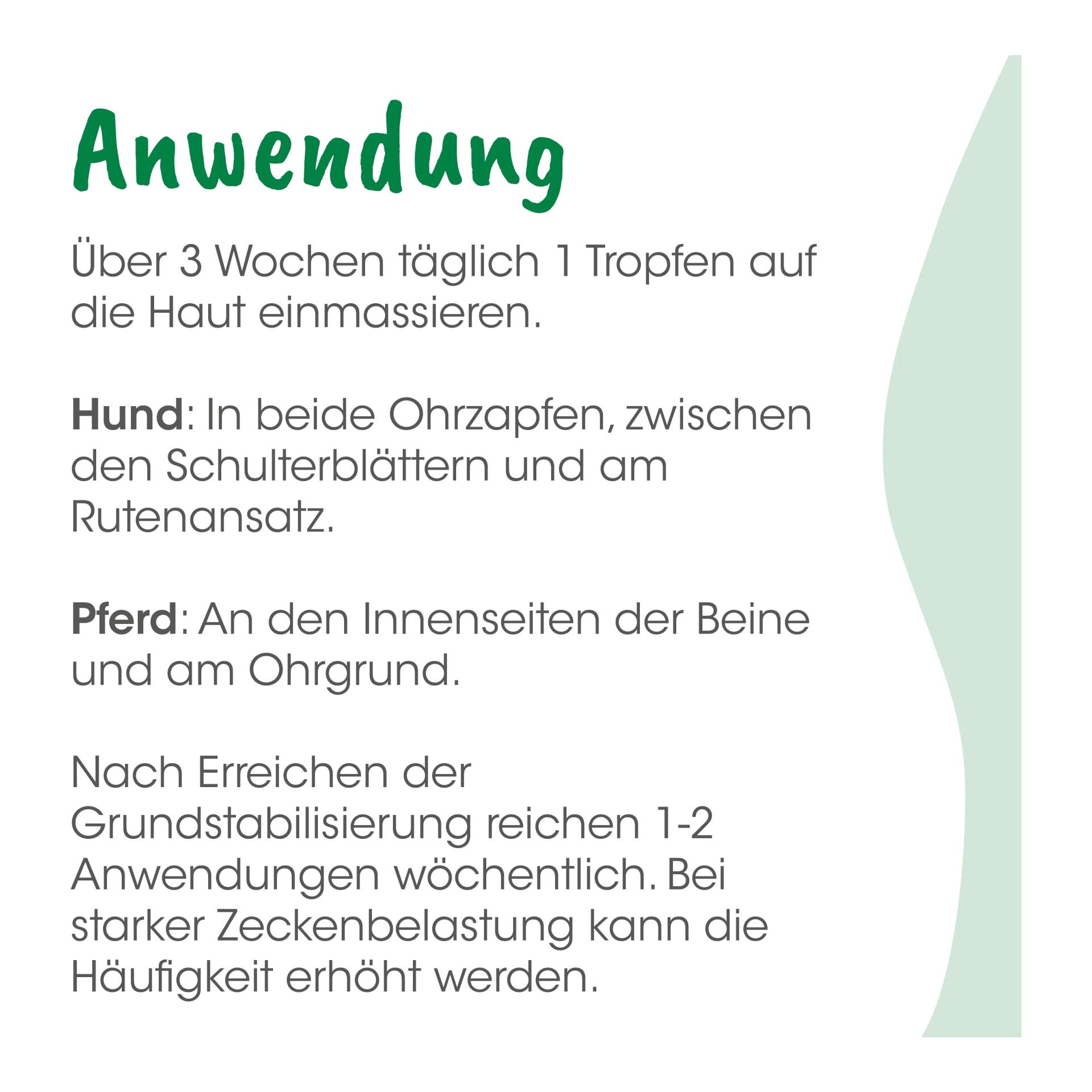 cdVet insektoVet Combi SpotOn