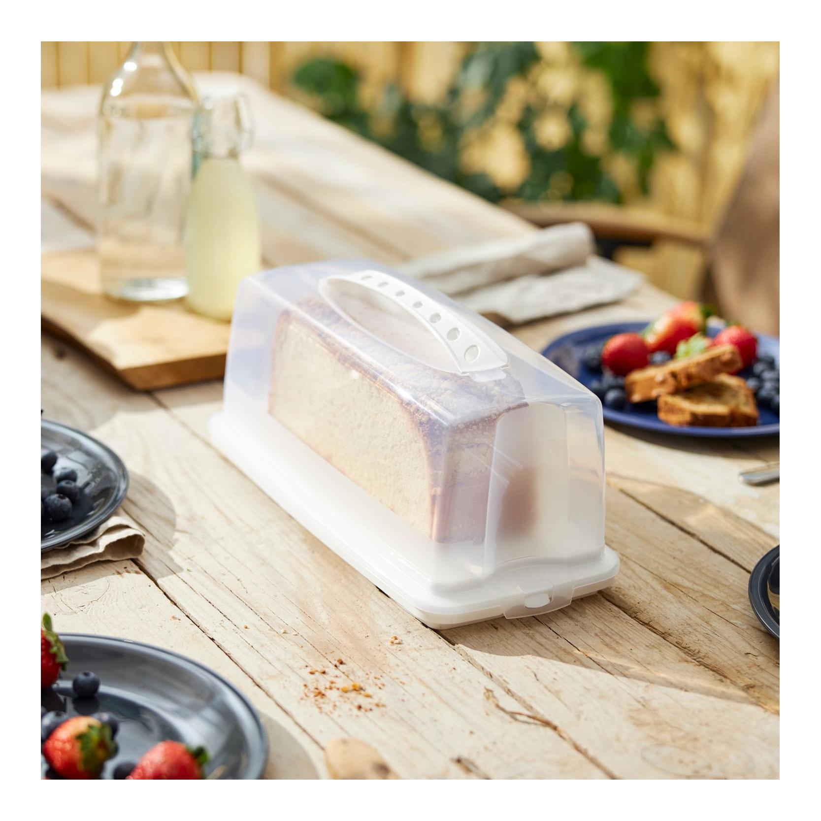 Rotho Kuchenbehälter FRESH