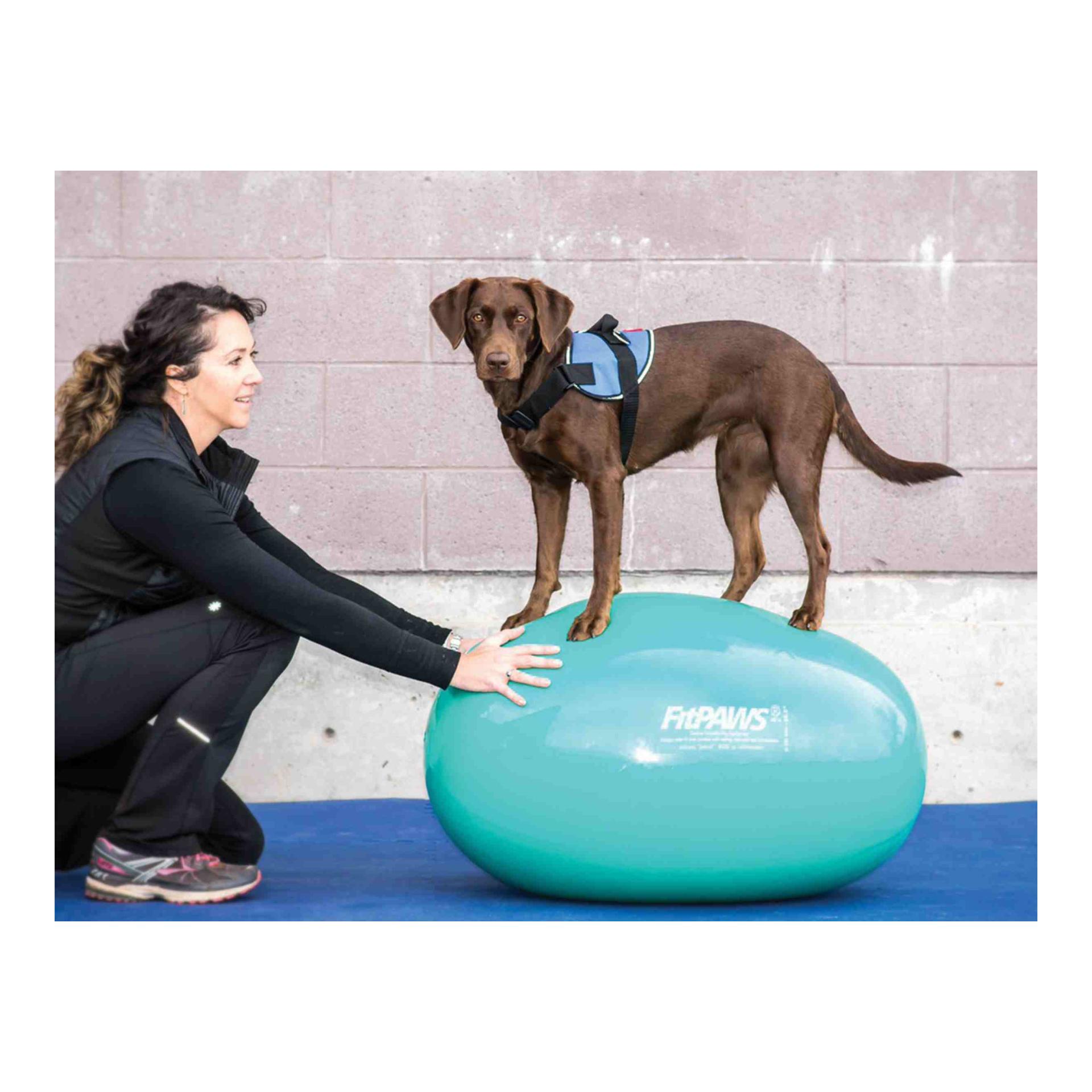 FitPaws Egg
