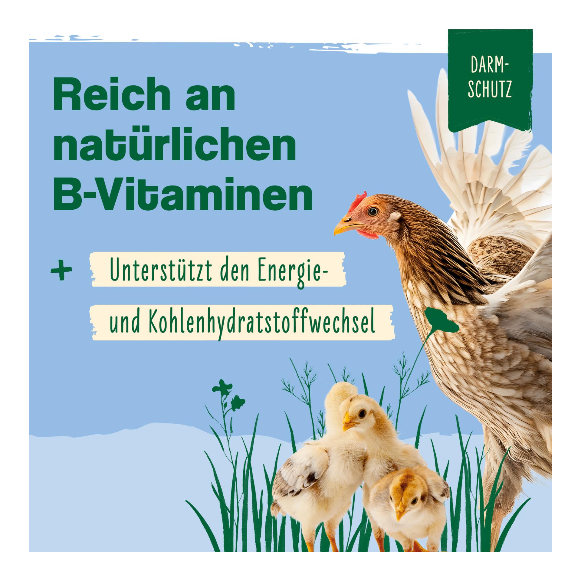 IdaPlus Levure de bière spéciale pour volaille - complément alimentaire pour volaille