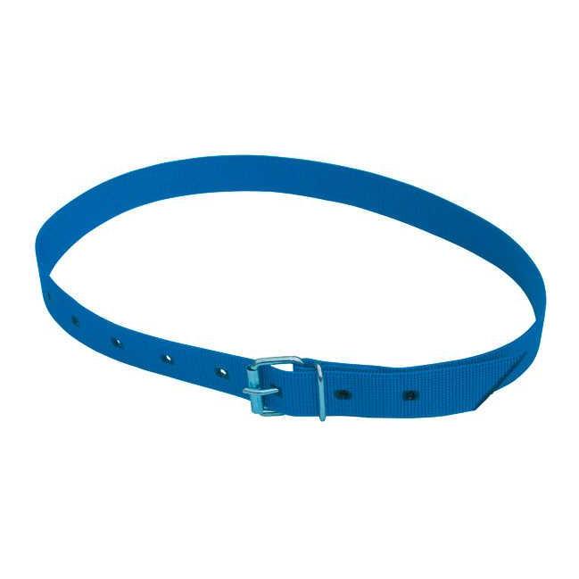 Kerbl Halsmarkierungsband mit Rollschnalle – blau