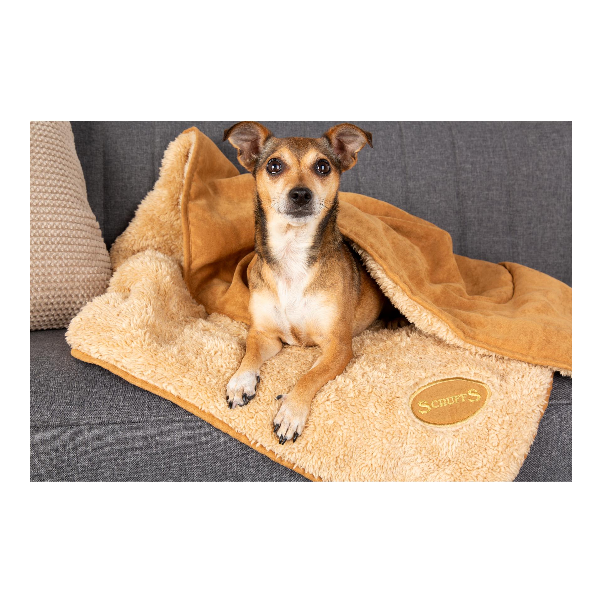 Scruffs Kuscheldecke für Hunde