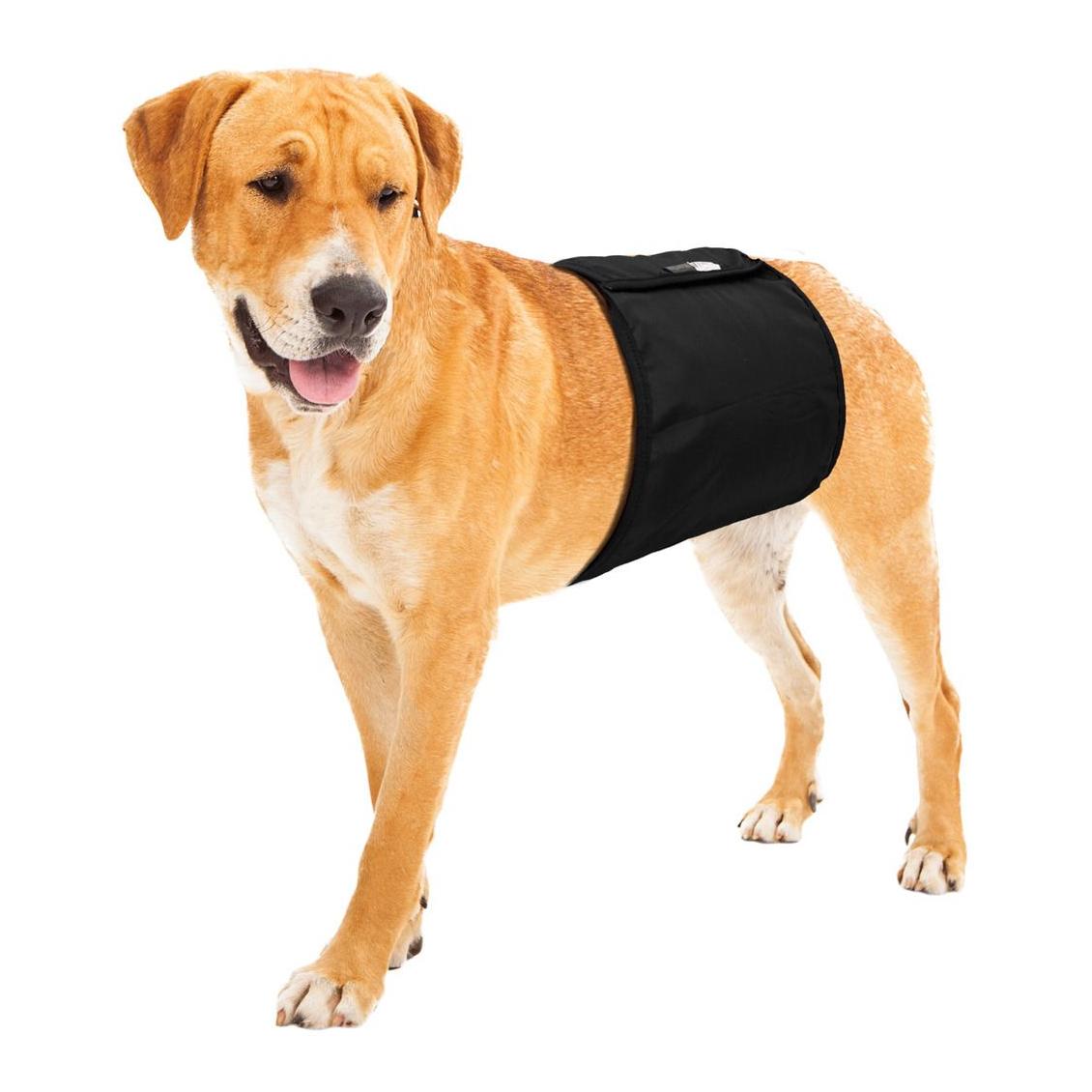 TRIXIE Rüden Hundeschutzhose