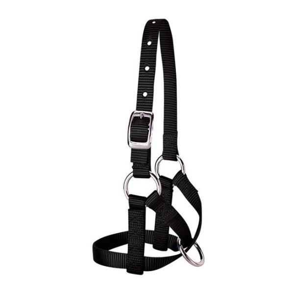 Weaver Livestock Licol pour alpagas - noir