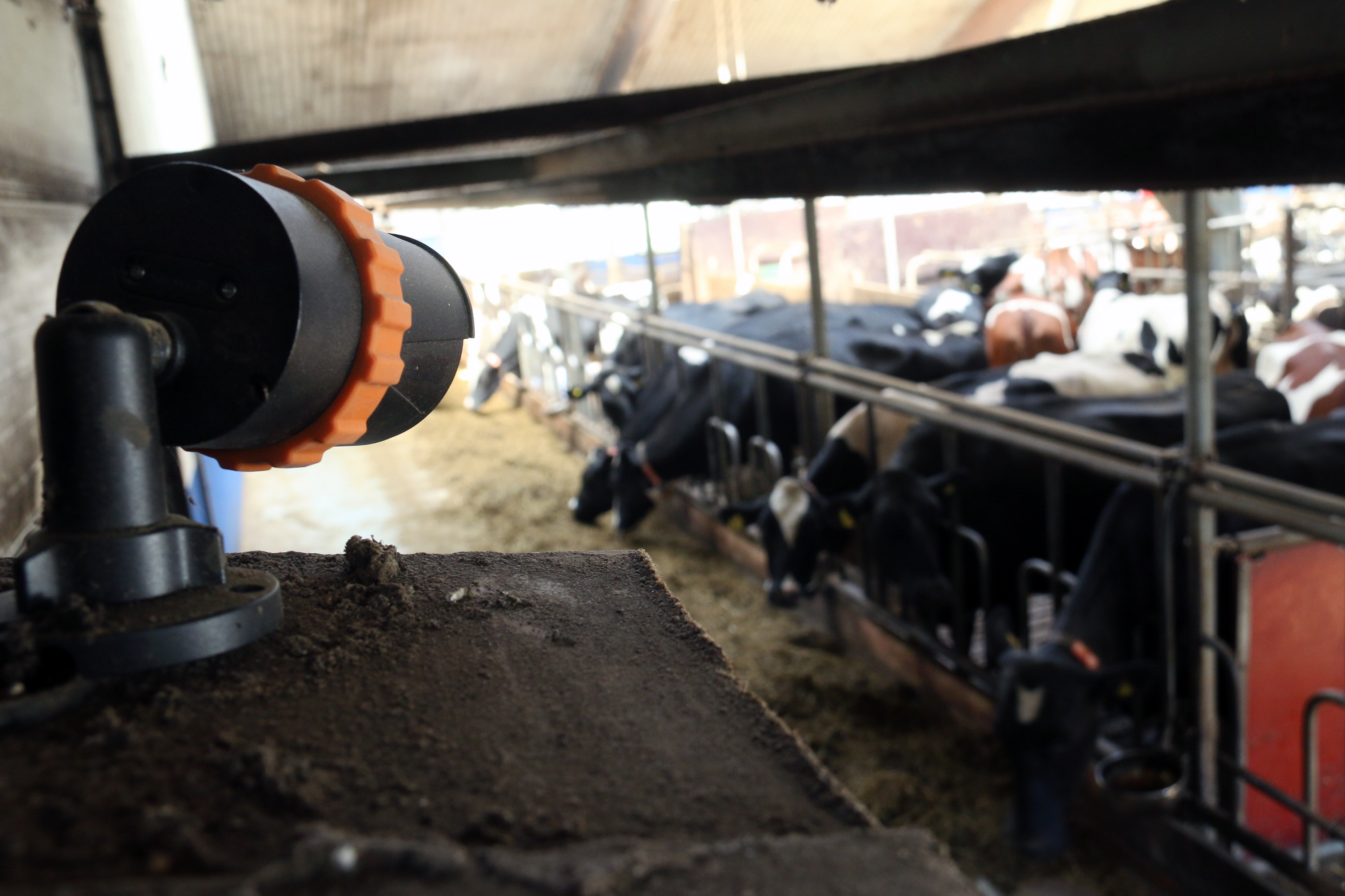 LudaFarm FarmCam Flex 5MP - Kit de démarrage