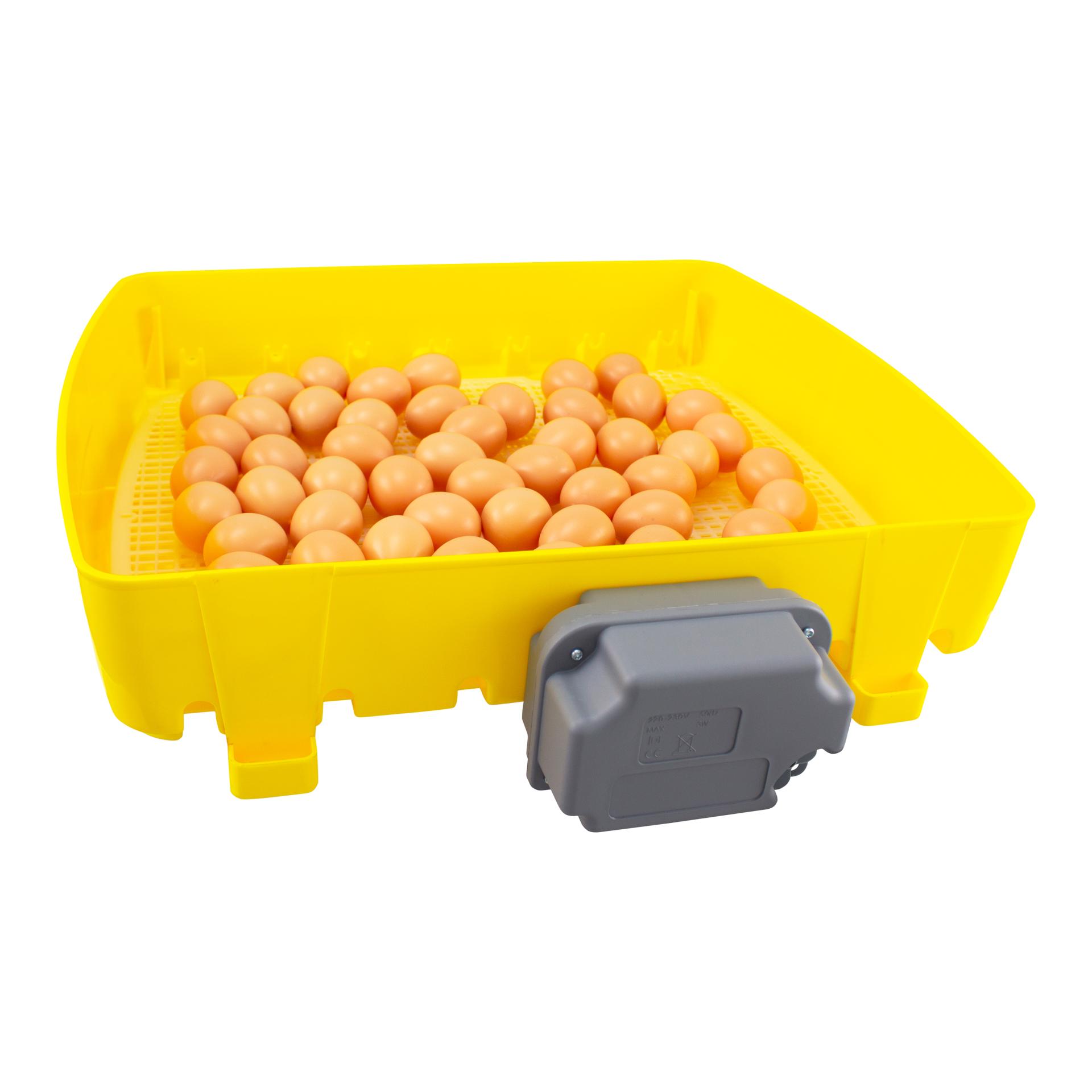 River Couveuse automatique pour œufs ET49 Biomaster