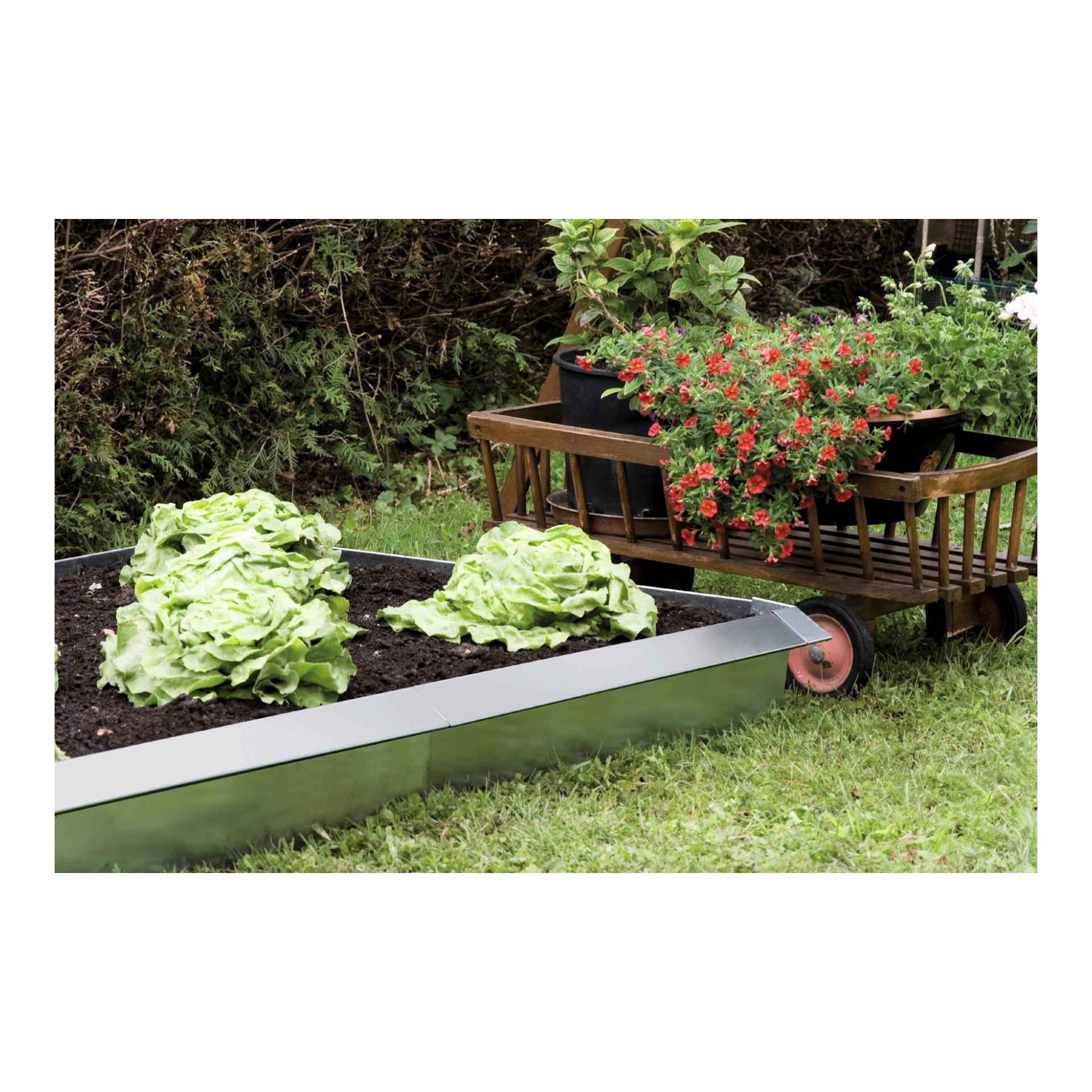 Windhager Paroi pour barrière à limaces - mur