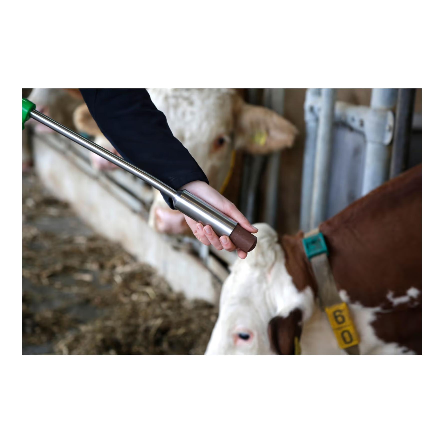 AgroChemica Fertilgol Bolus - Bolus au bêta-carotène (fertilité)