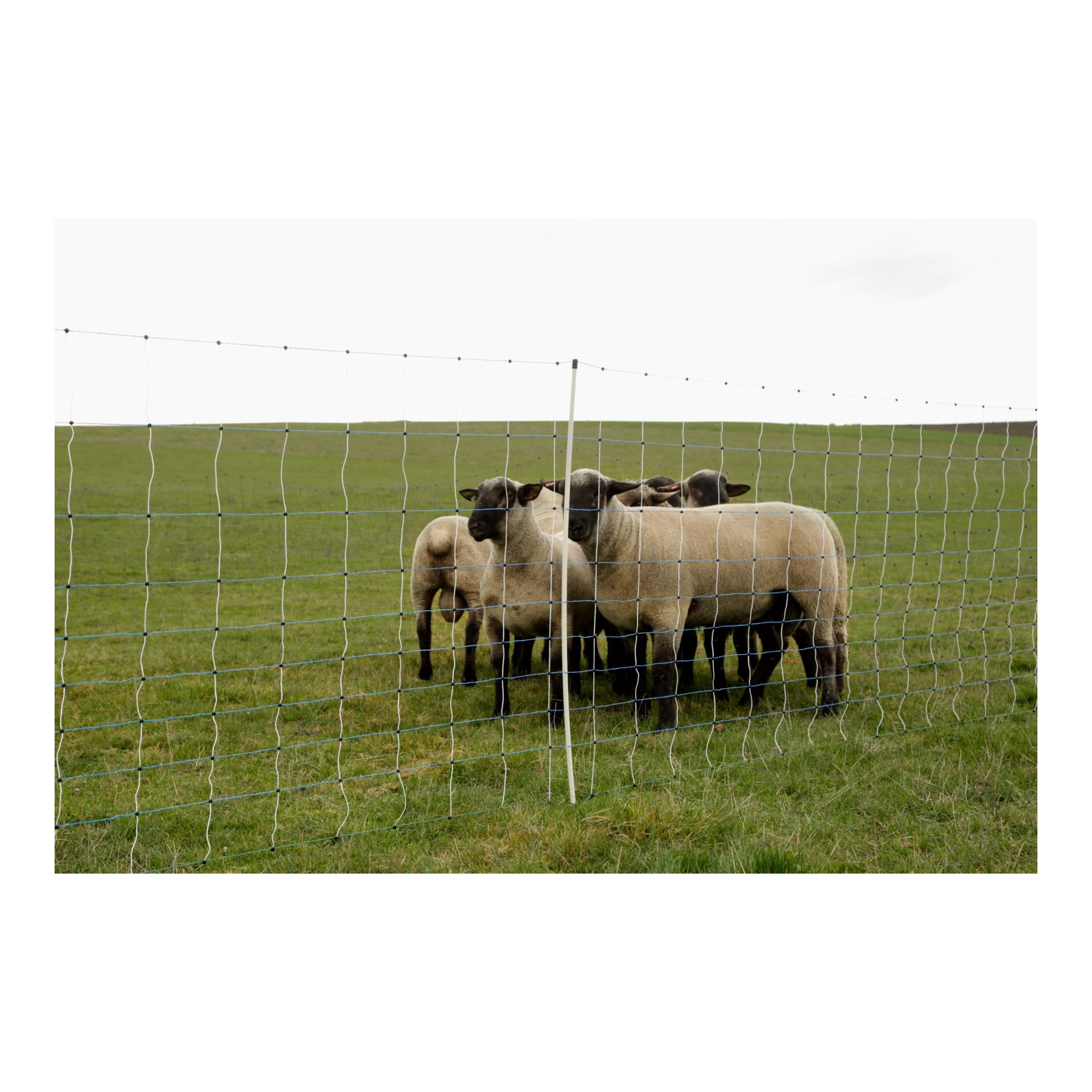AKO Weidenetz OviNet Maxi - 122 cm x 50 m