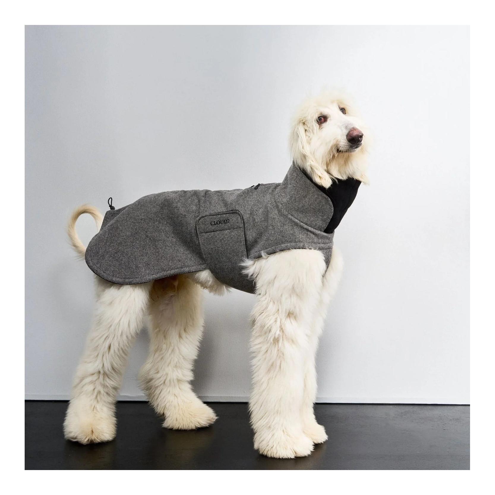 Cloud 7 Winter Hundemantel Brooklyn long Windhund