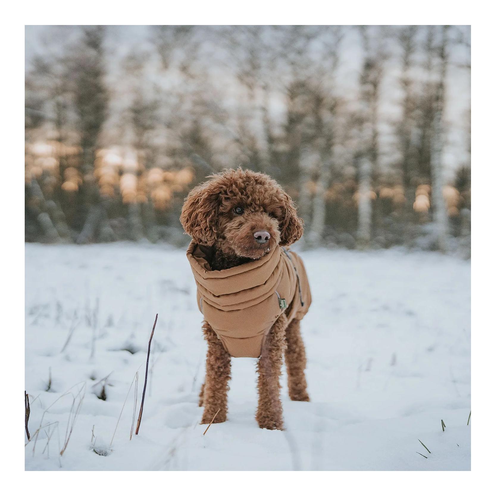 Hunter Manteau pour chien Paxson