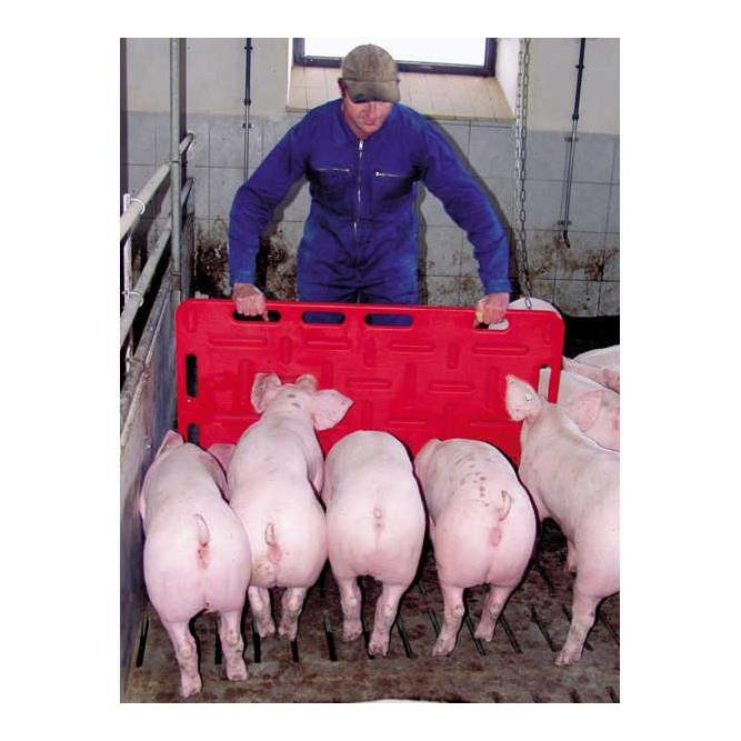 Kerbl Schweine-Treibbretter