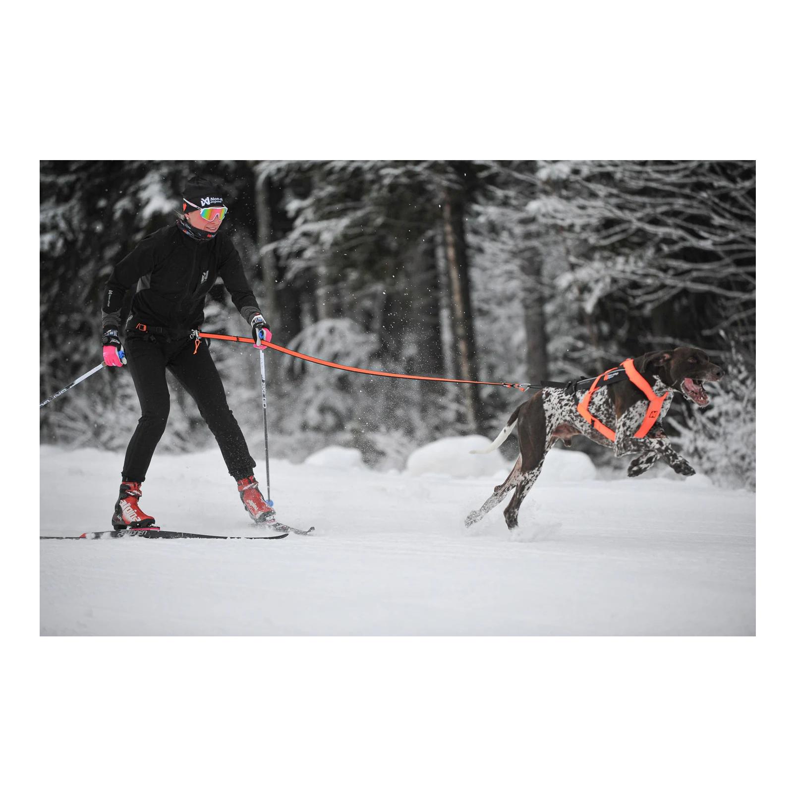 Non-stop Dogwear Løype Belt Pro - Ceinture ergonomique pour chien pour le skijöring