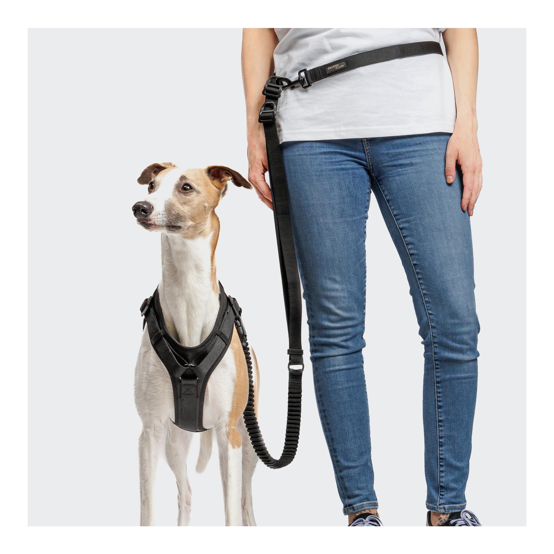 Cloud 7 Y-3-Hundegeschirr