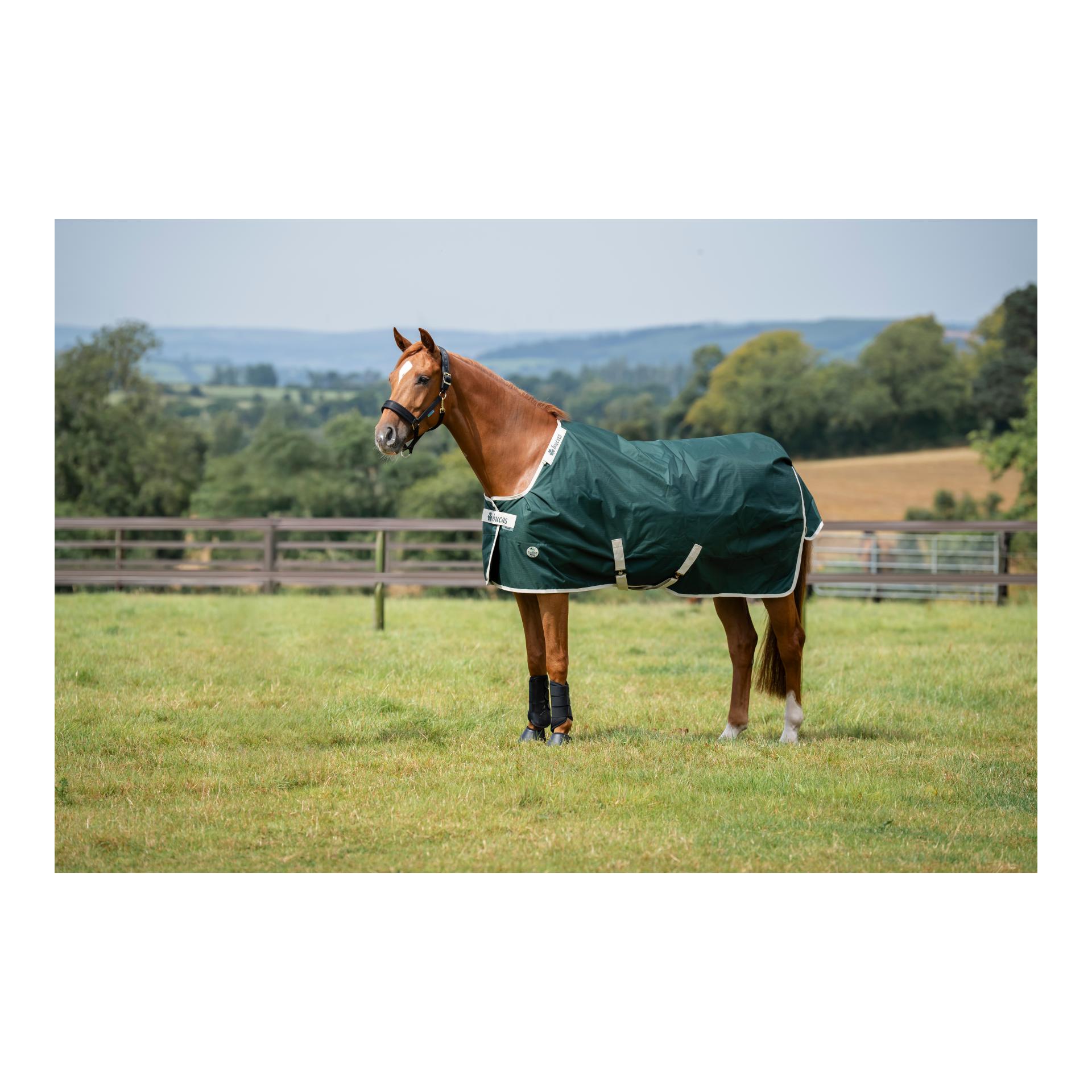 Bucas Weidedecke Green-Line Turnout 100g