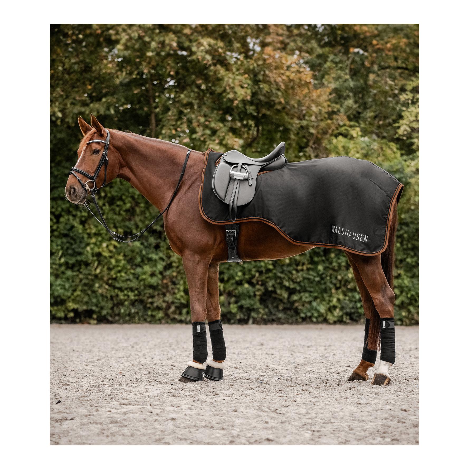 Waldhausen Regenset Regenmantel Fehmar + Regen Ausreitdecke Perth 50g