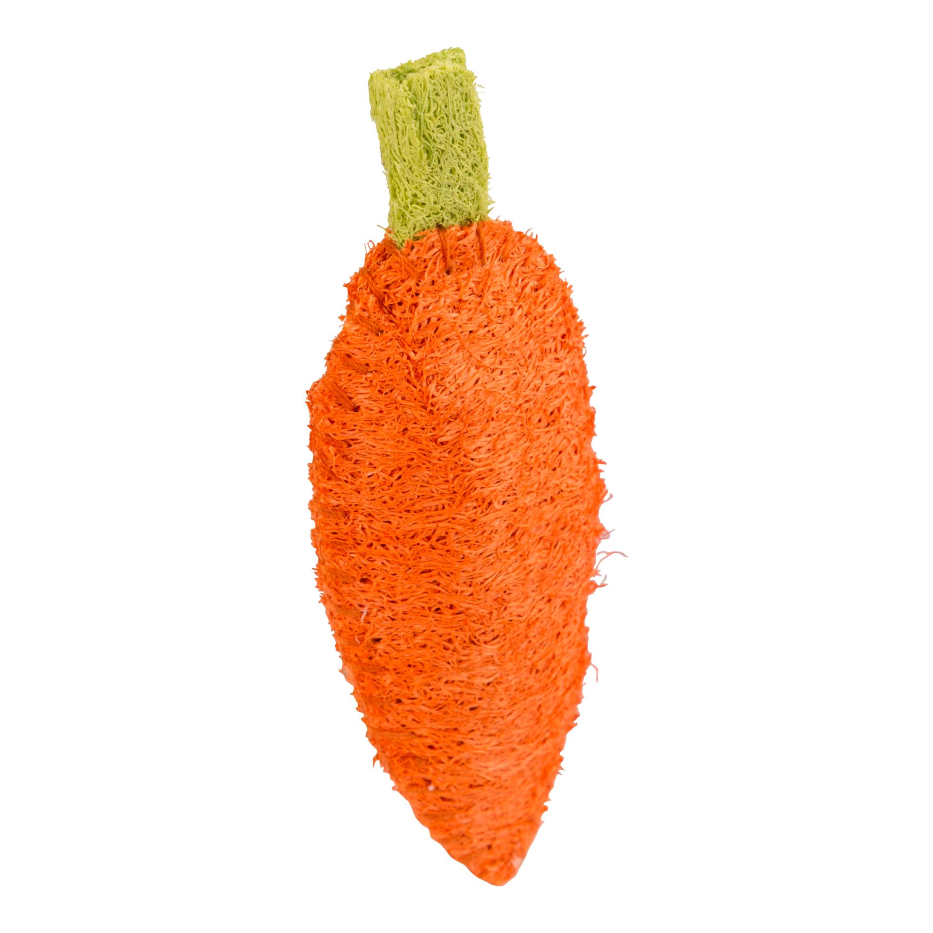 Kerbl Pet Karotte aus Luffa für Nager Orange