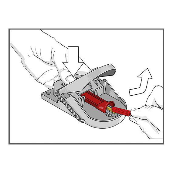 SWISSINNO Piège à souris PRO Supercat, appât inclus