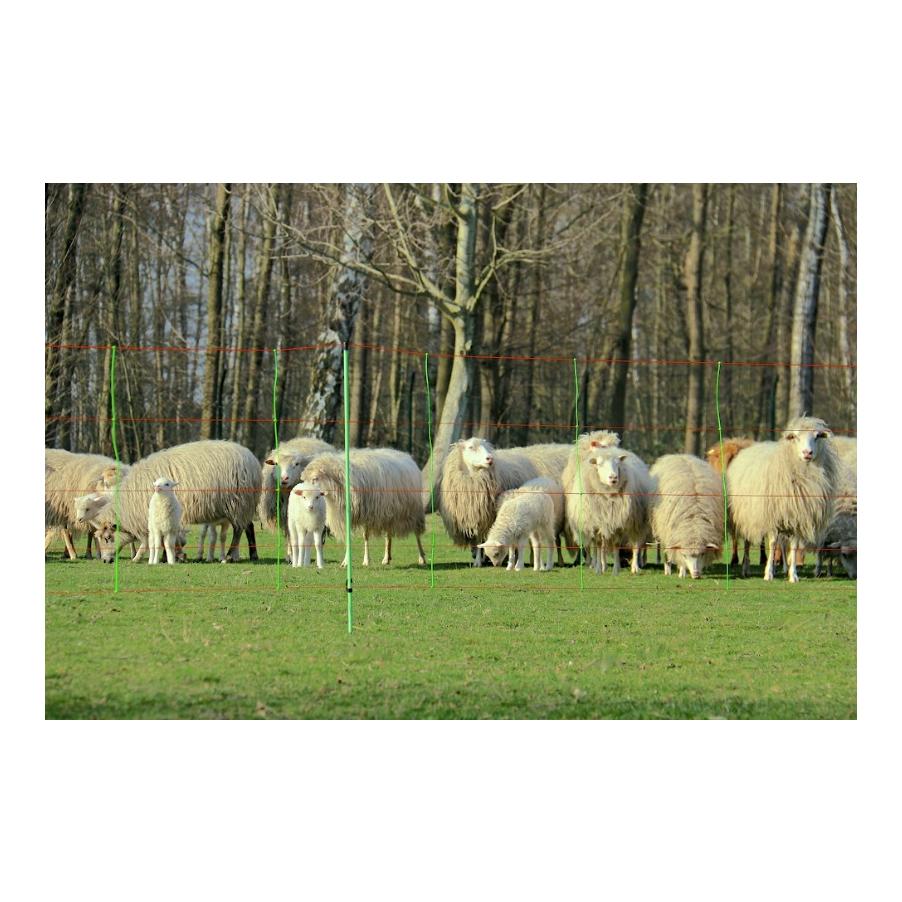 Euro Netz Filet de pacage Multiflex – pointe simple