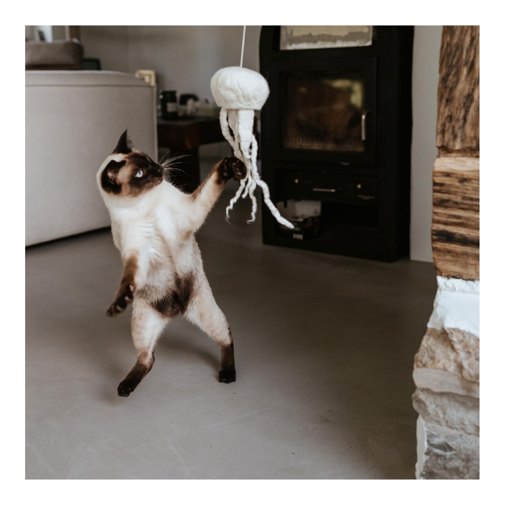 Stylecats by Hunter Katzenspielzeug Kwalle Karl