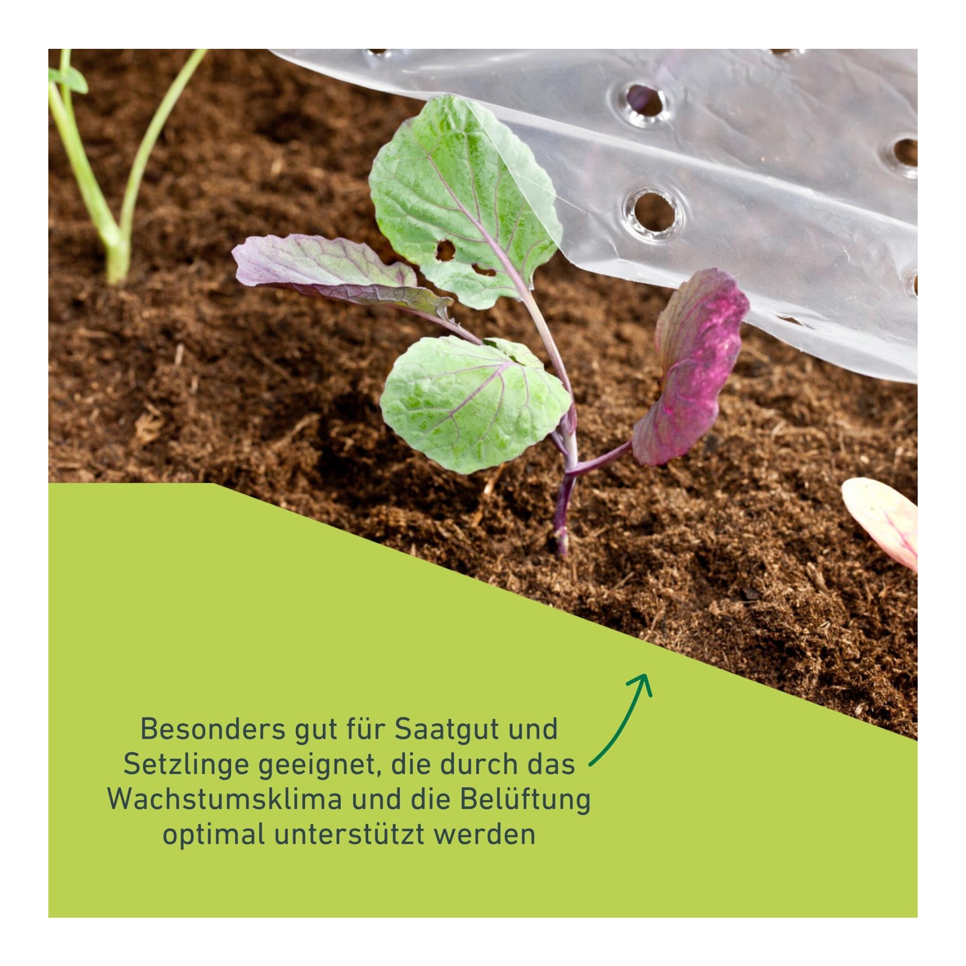 Windhager Frühbeet-Folie