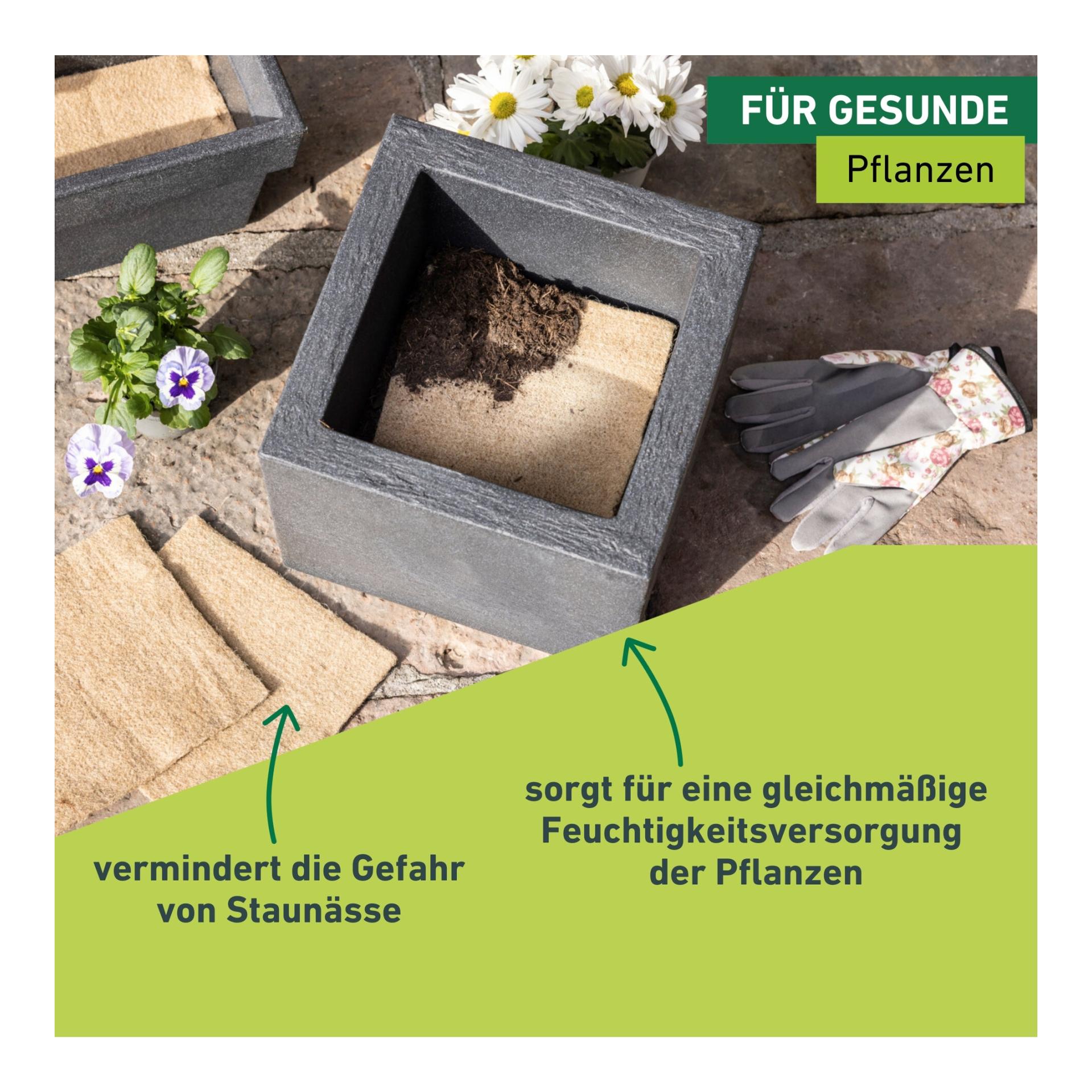 Windhager Biologischer Wasserspeichermatte für Töpfe Braun