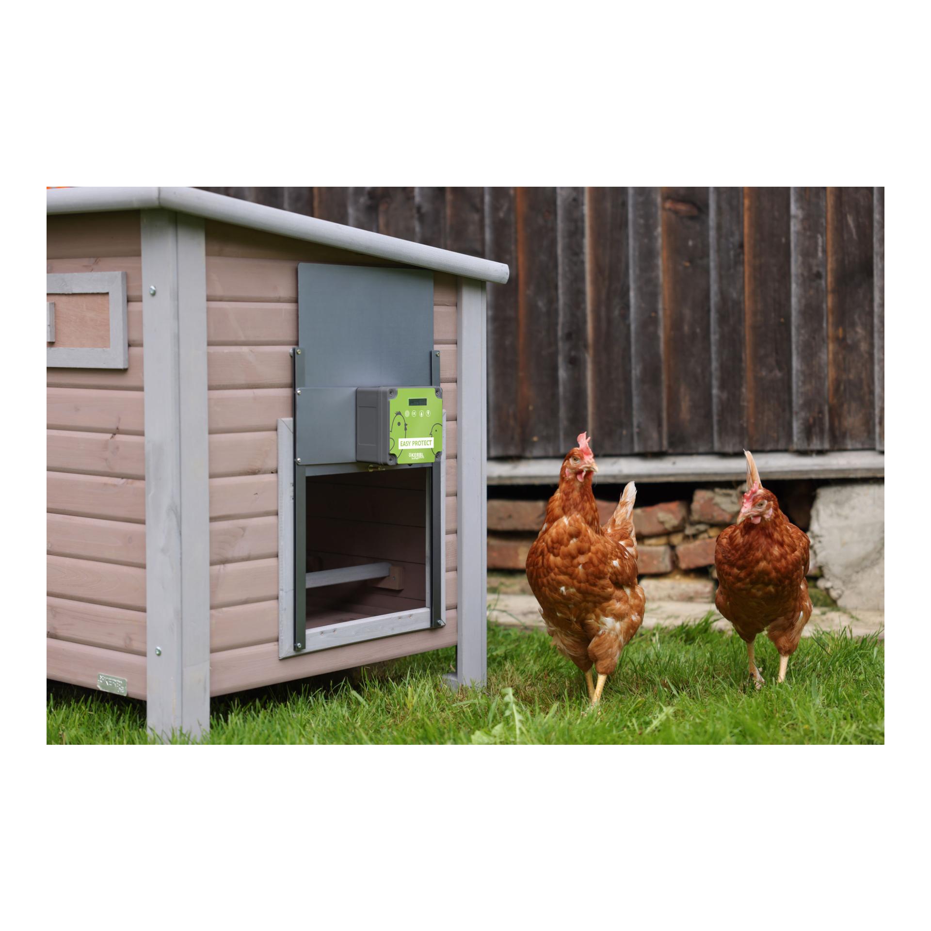Kerbl Hobbyfarming Automatische Hühnertür Komplettset EasyProtect