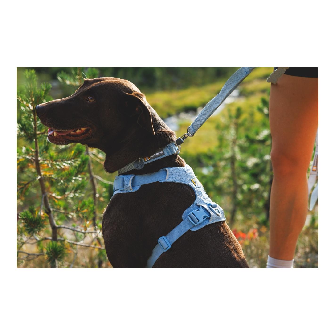 Ruffwear Collier pour chien Front Range™ Flex
