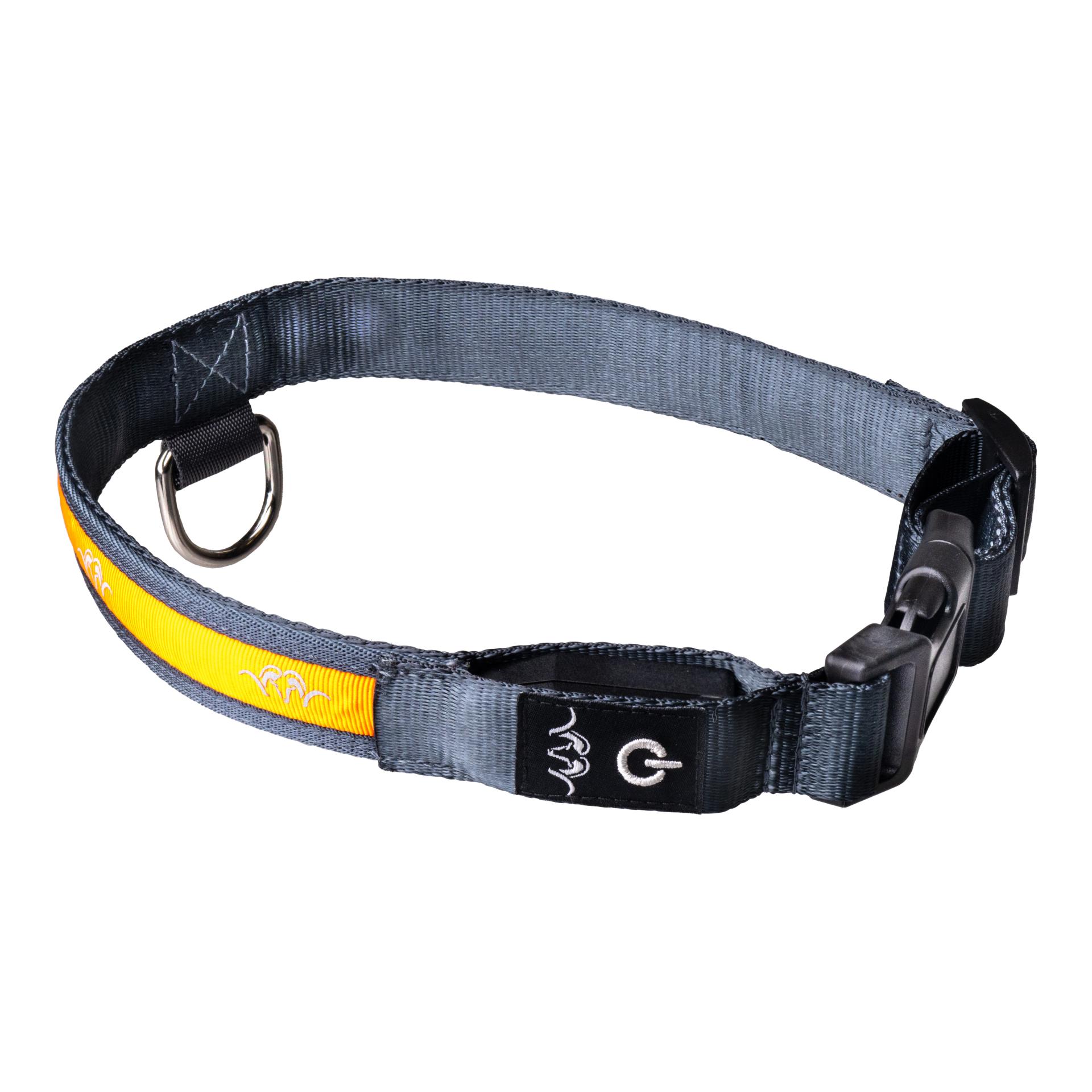 Blaser Collier LED