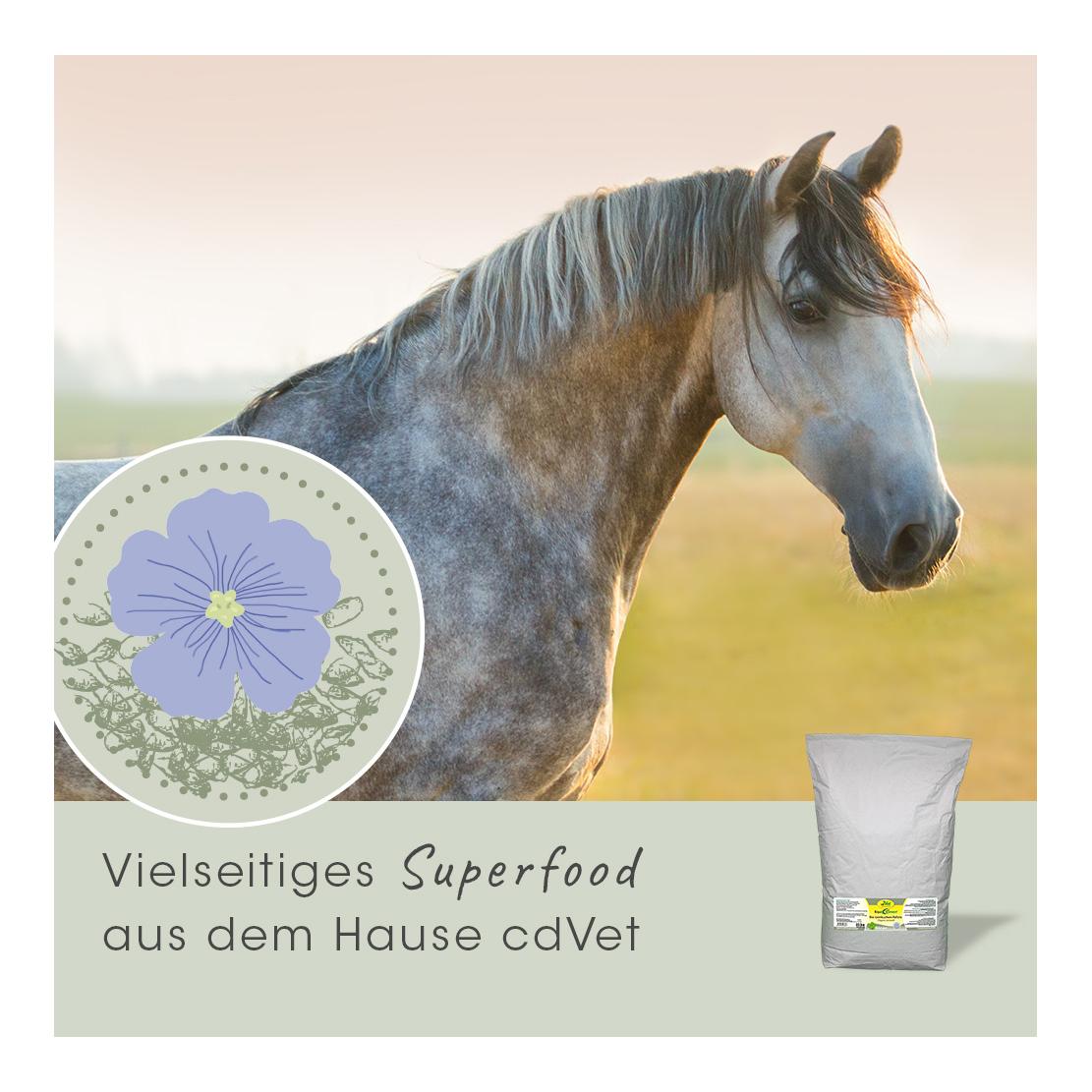 cdVet Tourteau de lin biologique EquiGreen