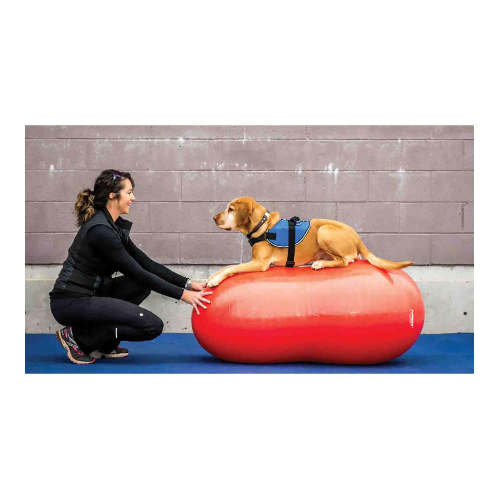 FitPaws Peanut avec pompe