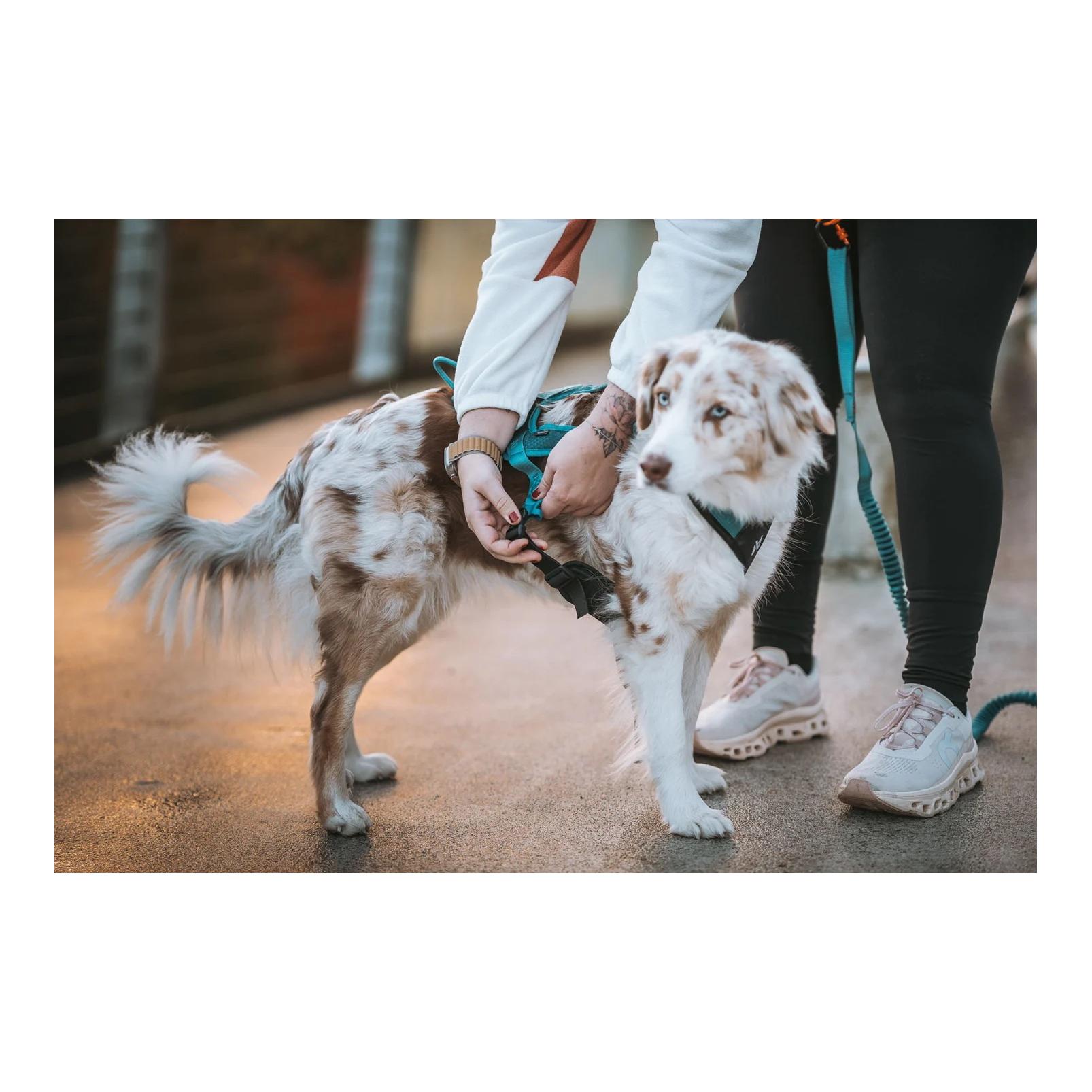 Non-stop Dogwear Harnais pour chien Rush Harness