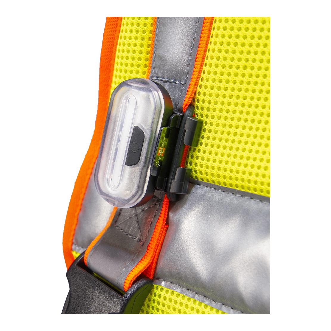 Beat Grossenbacher Hundeleuchtdecke Balou Profi  mit Led Lampen