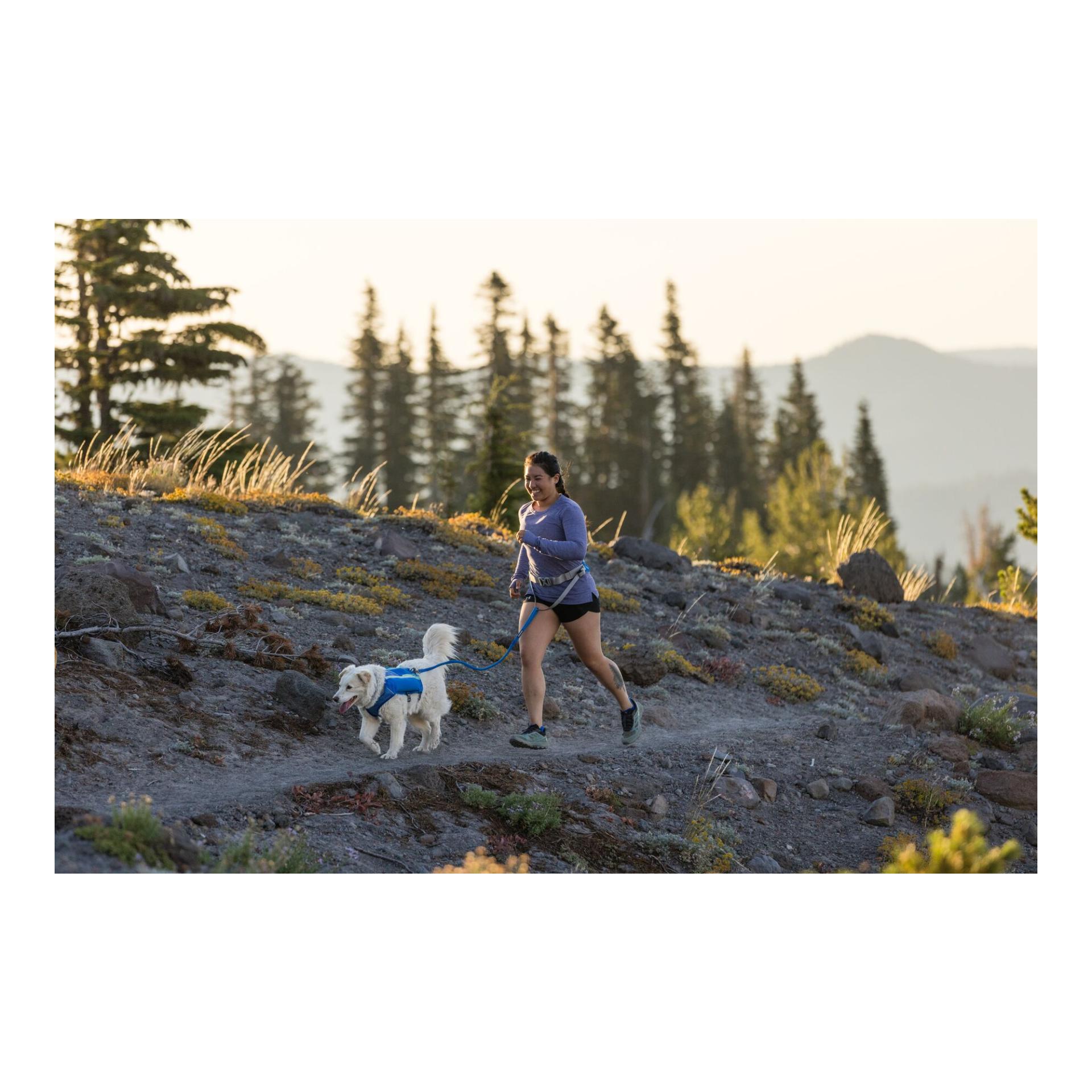 Ruffwear Trail Runner™ Leash Joggingleine