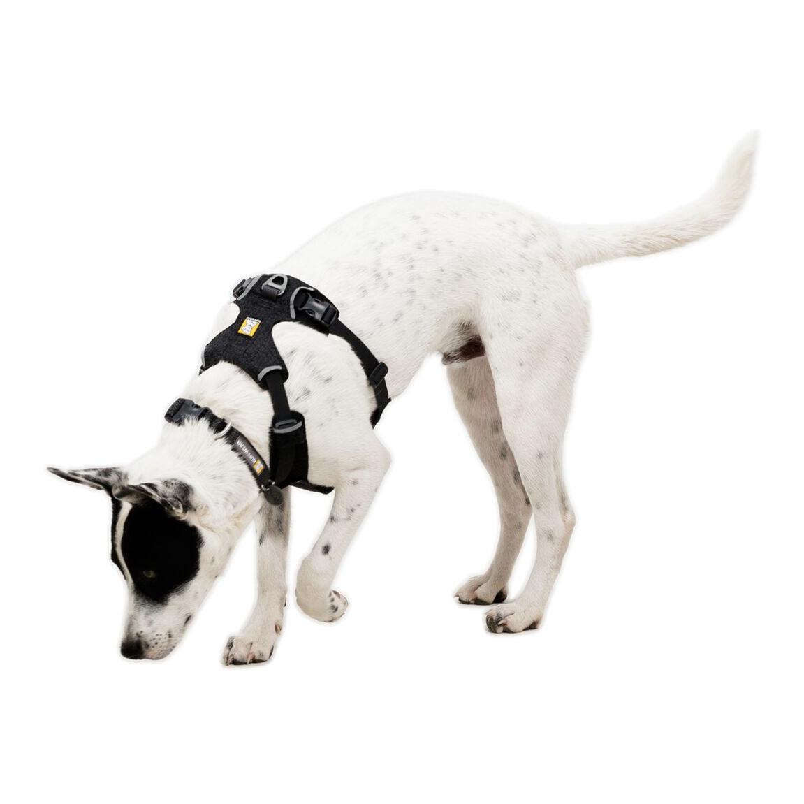 Ruffwear Front Range® Flex Harnais pour chien