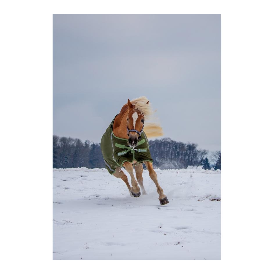 Stallone Winterdecke 300 g Outdoor Guard