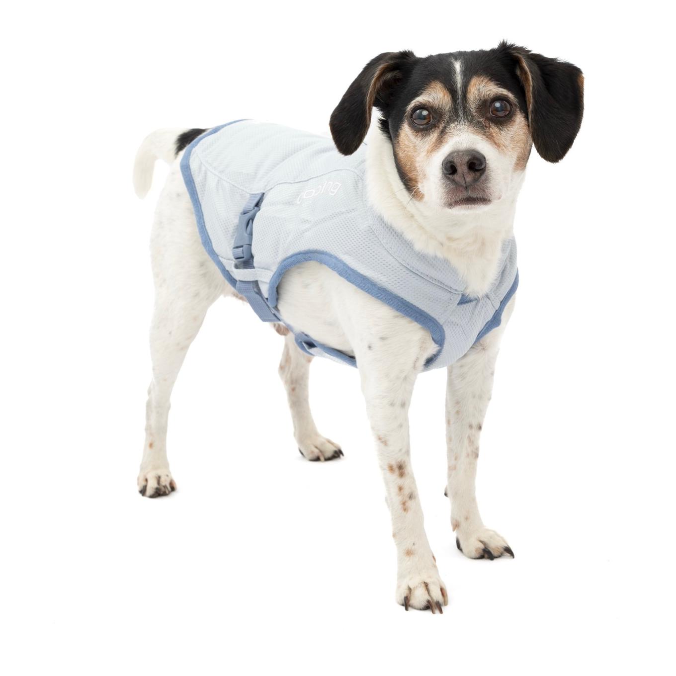 Kurgo Gilet réfrigérant pour chiens