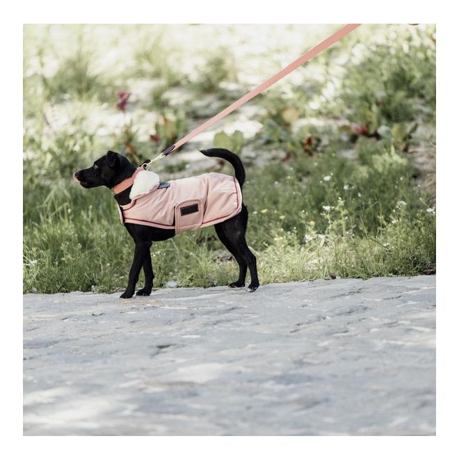 Kentucky Dogwear Manteau imperméable pour chien 160 g - Corail