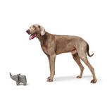 Hunter Jouet pour chien Eiby éléphant - gris