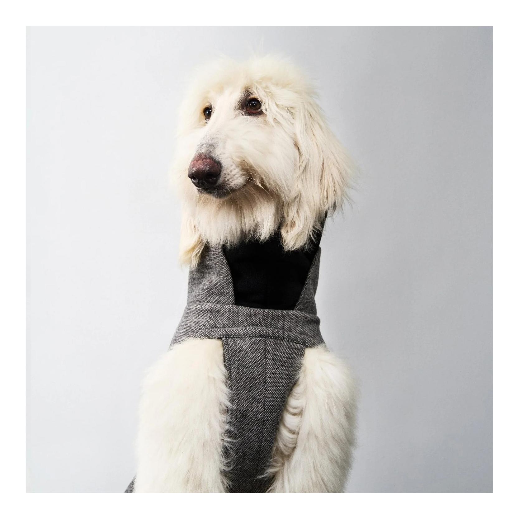 Cloud 7 Winter Hundemantel Brooklyn long Windhund