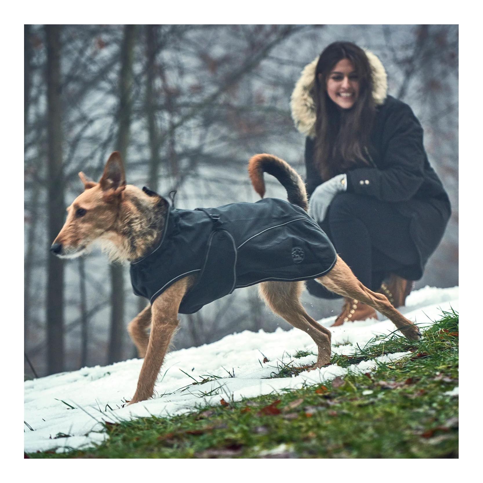 Hunter Hundemantel Uppsala Softshell - schwarz