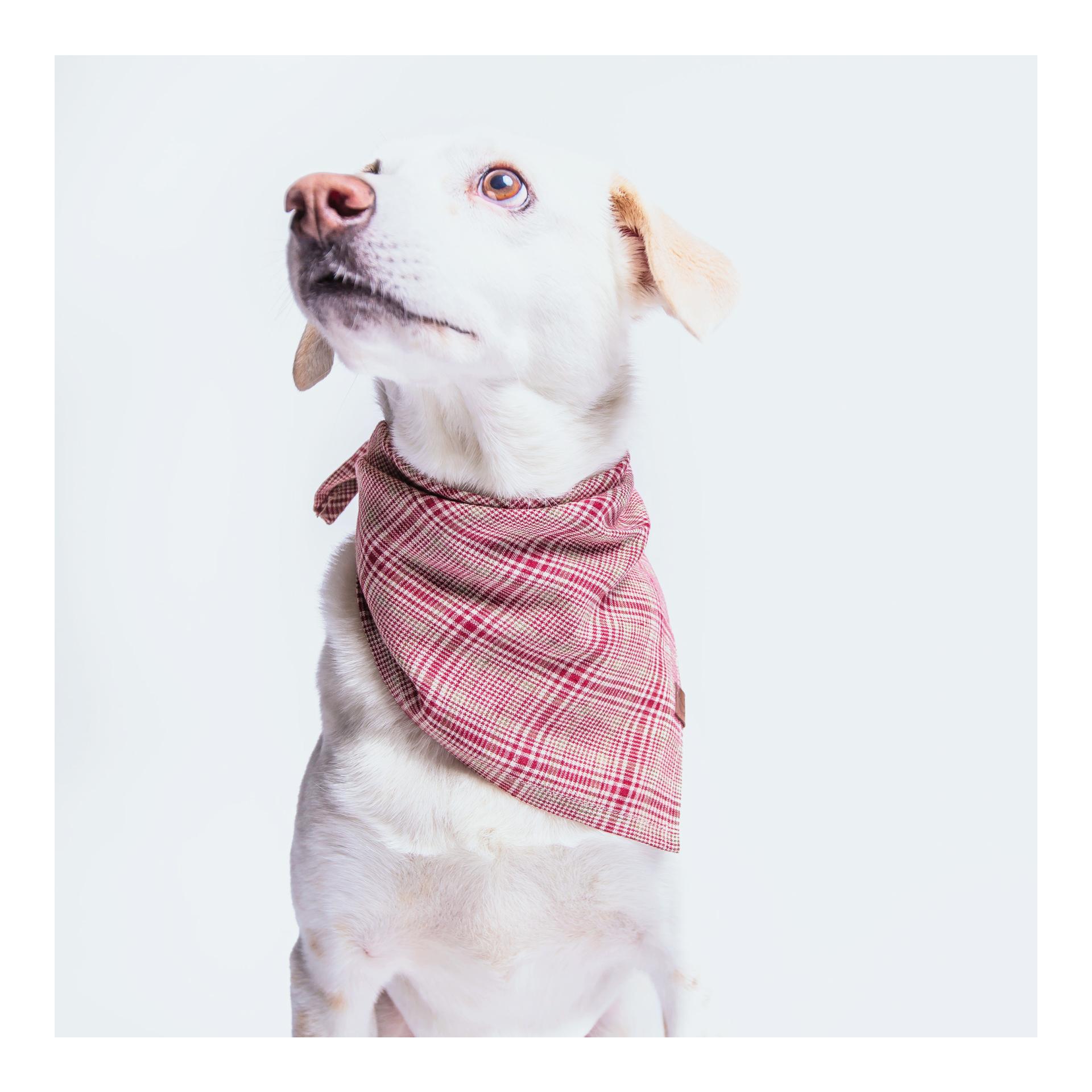Cloud 7 Bandana Check - rouge