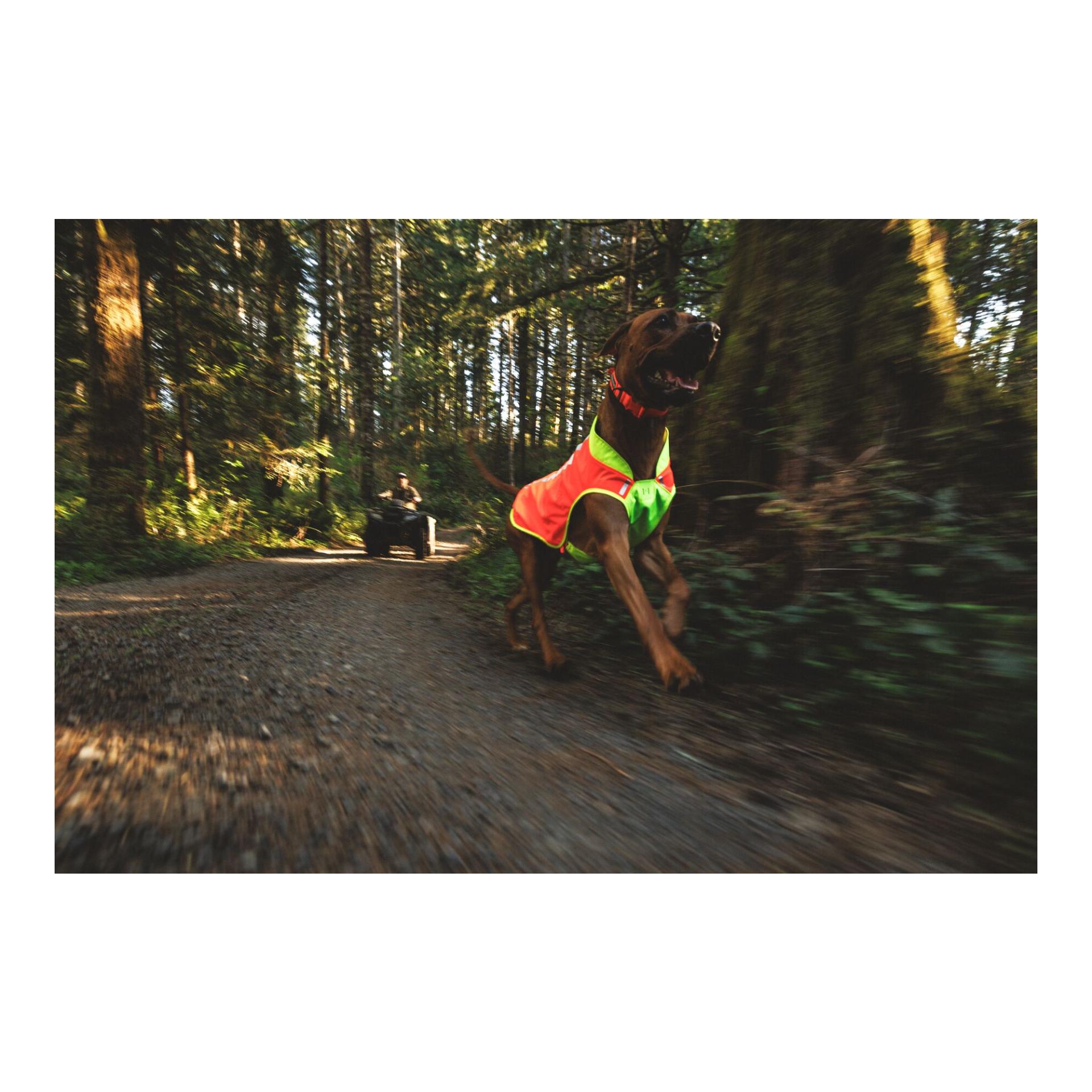 Ruffwear Lumenglow™ High-Vis Hundeweste