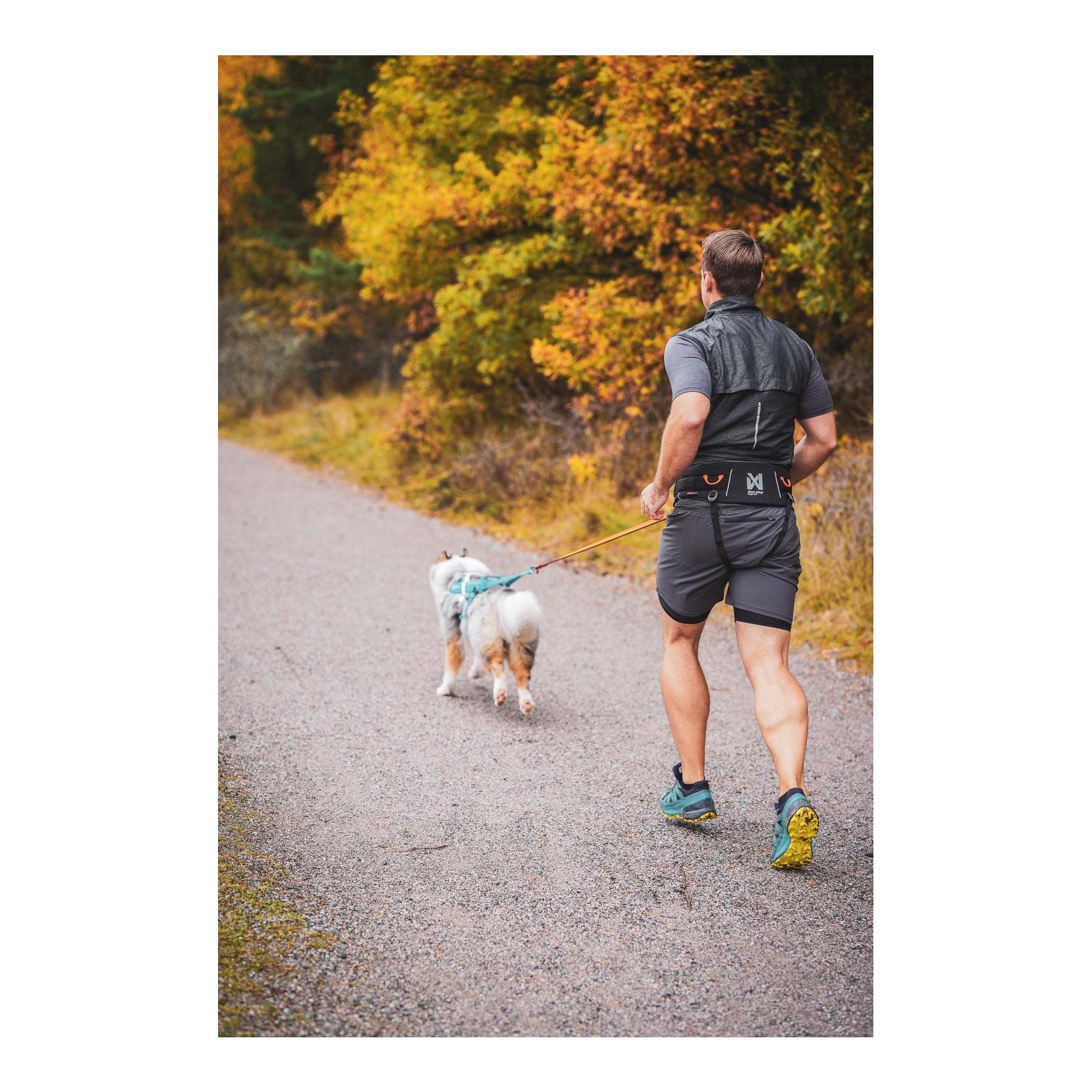 Non-stop Dogwear Ceinture de randonnée 2.0