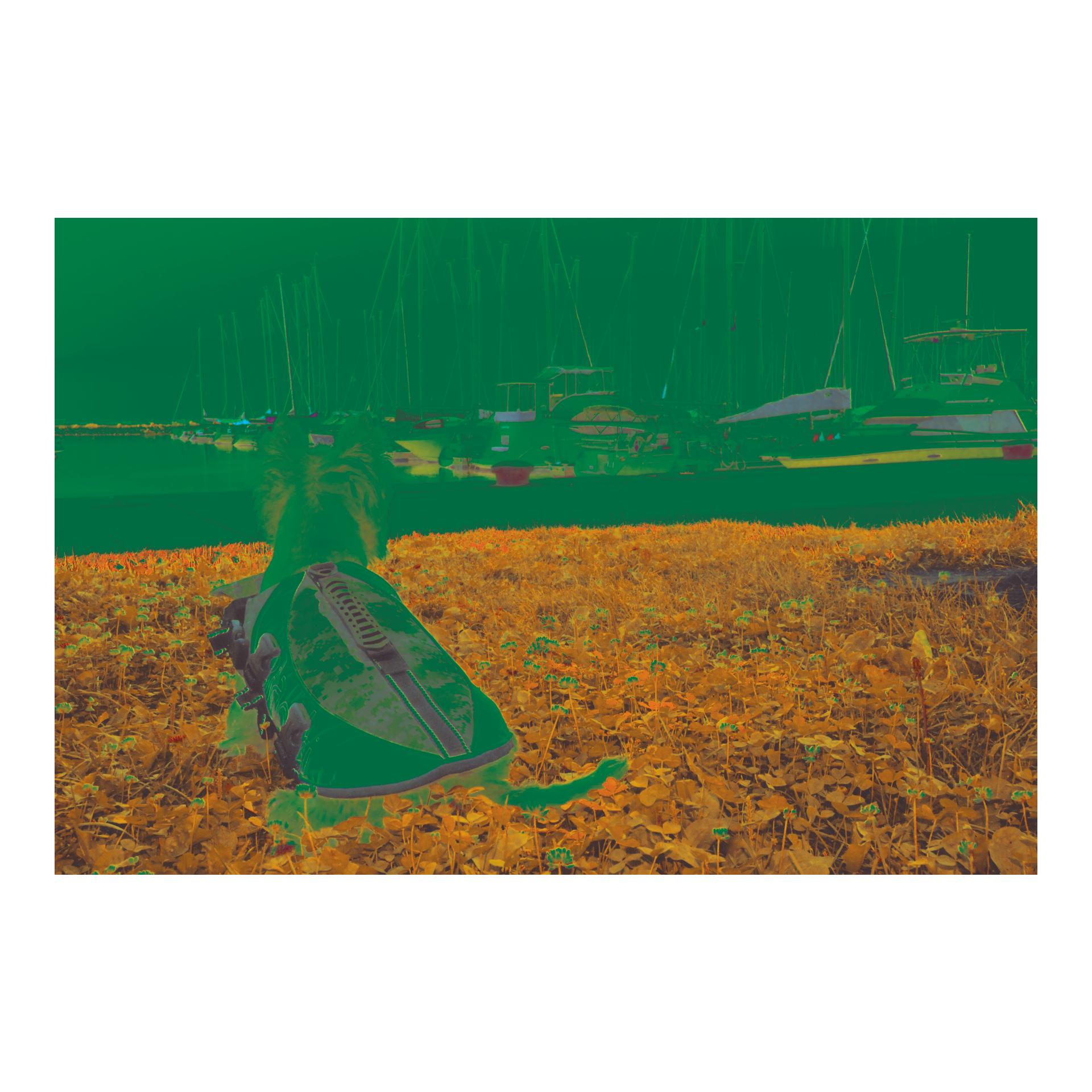 PetEgo Hundeschwimmweste camo