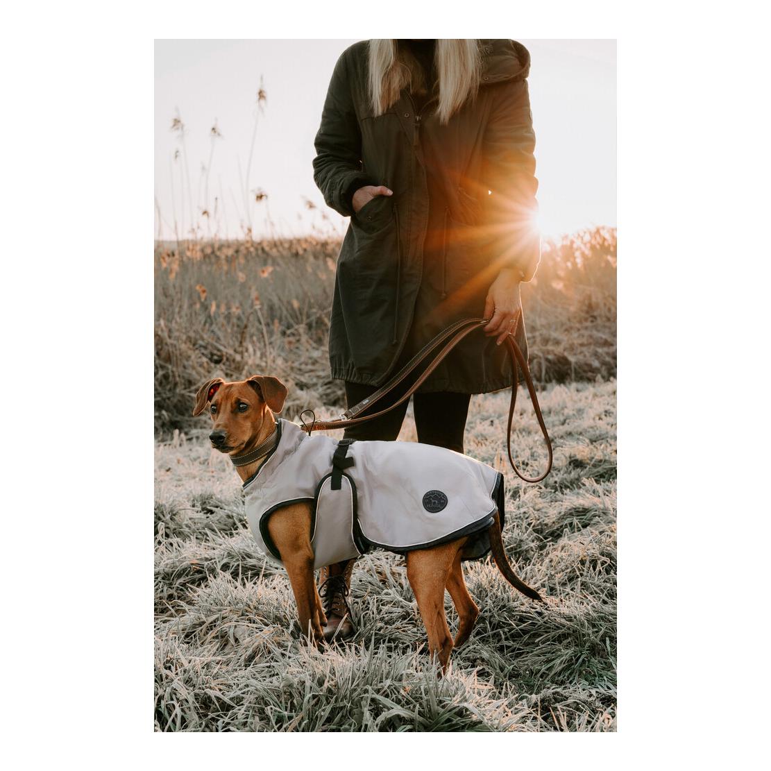 Hunter Manteau pour chien Uppsala polaire amovible- taupe