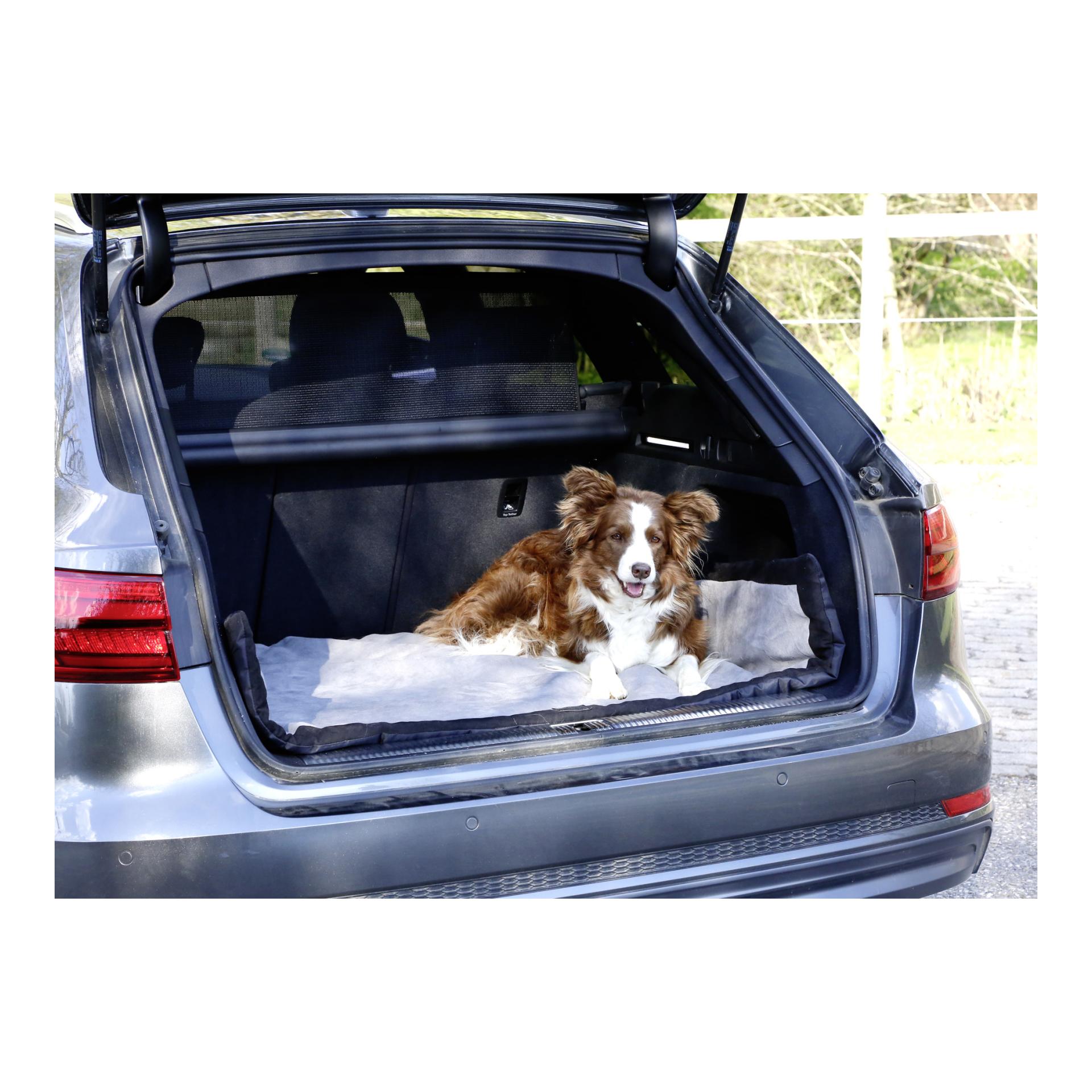 Kerbl Pet Tapis pour chien Trip - gris/noir
