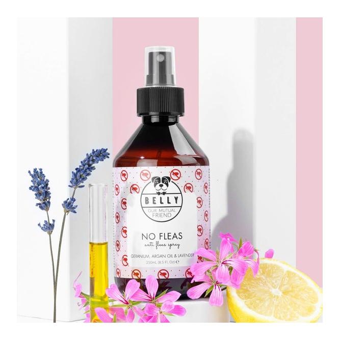 Belly Spray Anti-Puces No Fleas