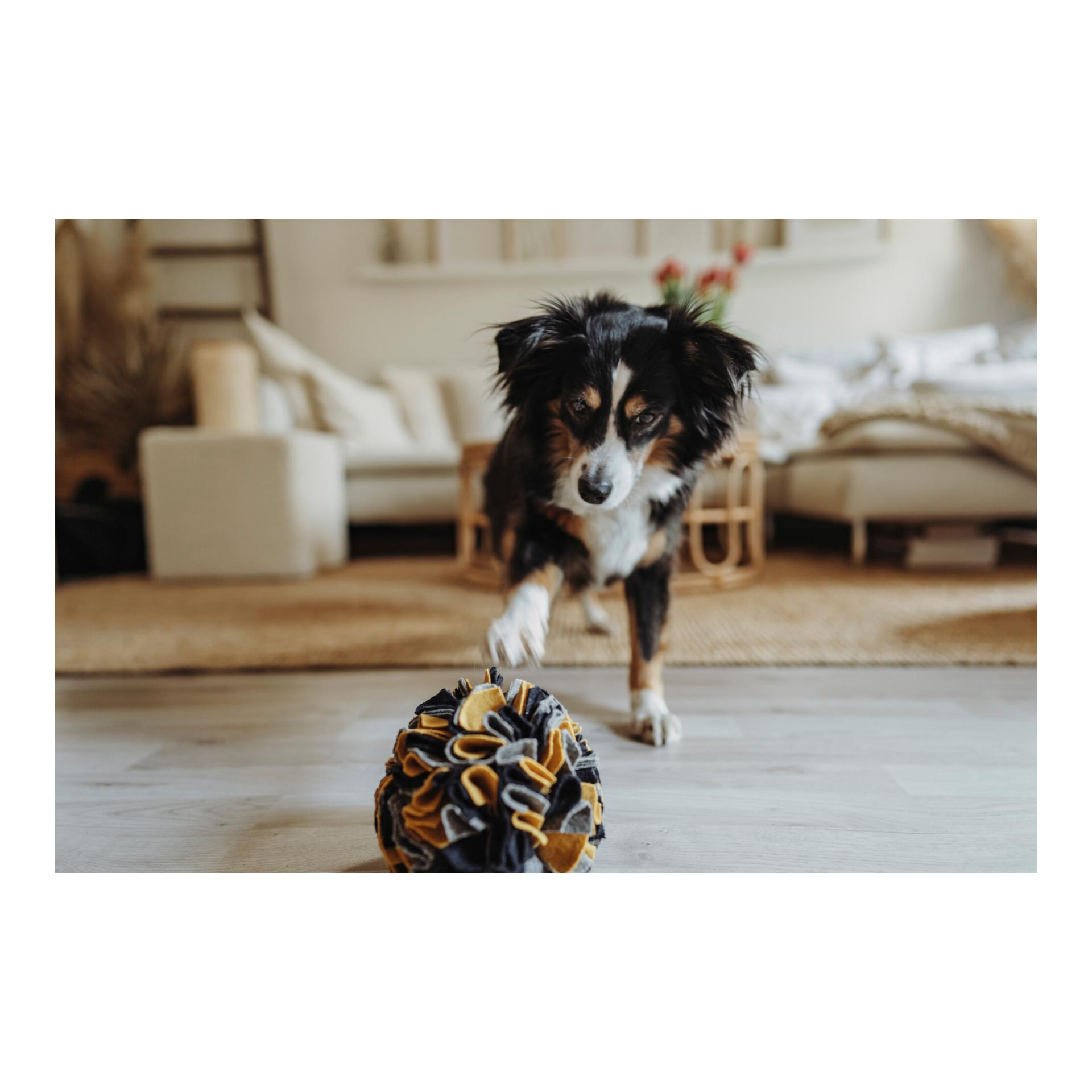 Hunter Schnüffelball Eiby